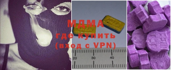 прущие грибы Новозыбков
