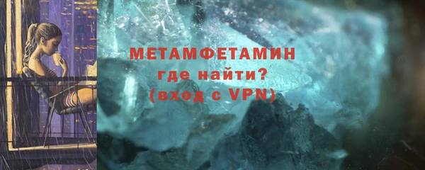 прущие грибы Новозыбков