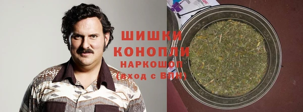 прущие грибы Новозыбков
