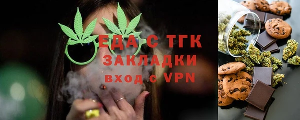 прущие грибы Новозыбков