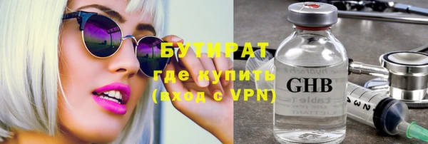 прущие грибы Новозыбков