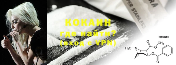 прущие грибы Новозыбков