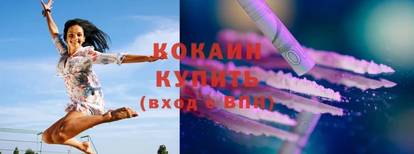 бошки Новодвинск