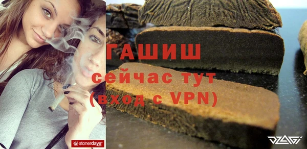 прущие грибы Новозыбков