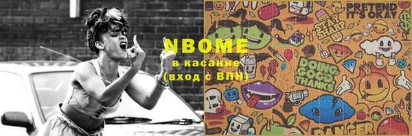 прущие грибы Новозыбков