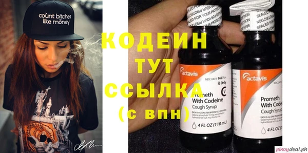 прущие грибы Новозыбков